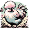 Silkie Chicken Fluffy Chicken Silkies
