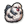 Silkie Chicken Fluffy Chicken Silkies
