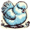 Silkie Chicken Fluffy Chicken Silkies