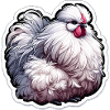 Silkie Chicken Fluffy Poulet Soyeux