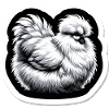 Silkie Chicken Fluffy Chicken Silkies