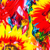 Pigmented Flowers/Sunflower Orange/Yellow2023/2024