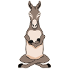 Meditationg Donkey Meditation Donkeys
