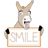 Donkeys funny smiling Donkey