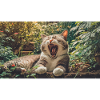 Cute animals chilling – cat