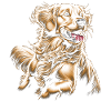 Cheerful Golden Retriever