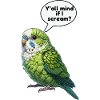 Parrotlet Bird Green Parrotlet