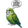 Parrotlet Bird Green Parrotlet