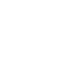 Skier