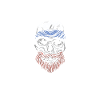 Giftidea Beard Men