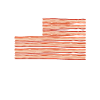 Bacon USA Flag
