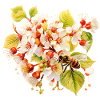 Blooms and Buzz