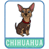 Shirt Chihuahua Dog