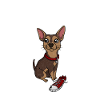 Chihuahua Dog Sneakers