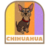 Chihuahua Chien Retro Tee
