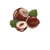 Funny Hazelnut Shirt