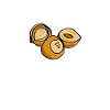 Hazelnut Saying