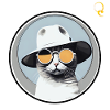 STYLISH CAT