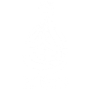 Yogi Turtle (White)