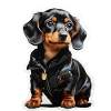 Dachshund