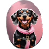 Dachshund