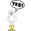 Yes is Love