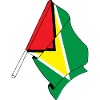 Flag of Guyana