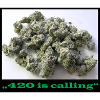420 is calling