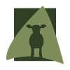 Beef farmer milk