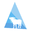 Cow cows milk