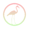 Wasservogel Flamingos Flamenco