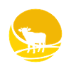 Milk cows moo