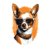 Cool Chihuahua