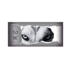 Né pour être libre.