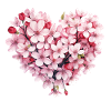 Sakura Heart