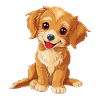 Dog Dog Lovers Dogs