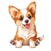 Chiens Chien Bébé Chien