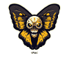 Skull Moth Butterfly