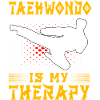 Taekwondo is my Therapy