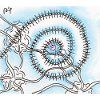 Confusion 11