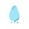 Bird Budgie Budgie