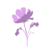 Botanical Botany Herbology