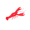 Crawfish Eat Me