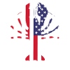 Crawfish USA