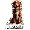 I love Toller