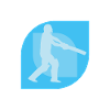Cricket Cricket Team Cricketers