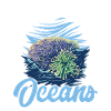 Marine Biology Ocean Marine Biologist