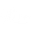 Pise
