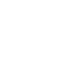 Vicenza