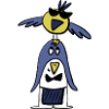 birds